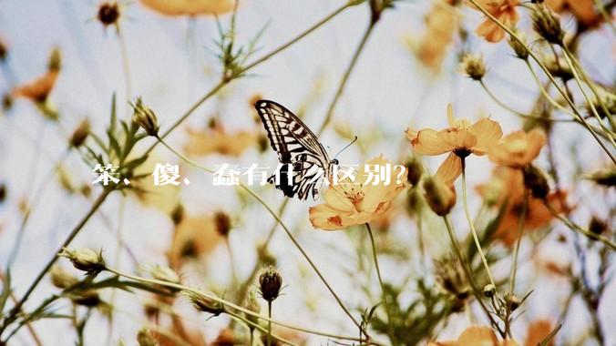 笨、傻、蠢有什么区别？