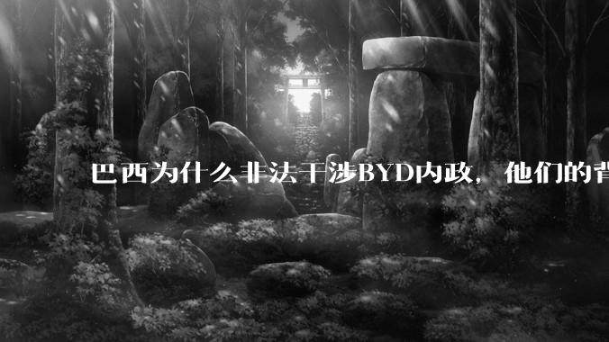 巴西为什么非法干涉BYD内政，他们的背后是谁，目的是什么？